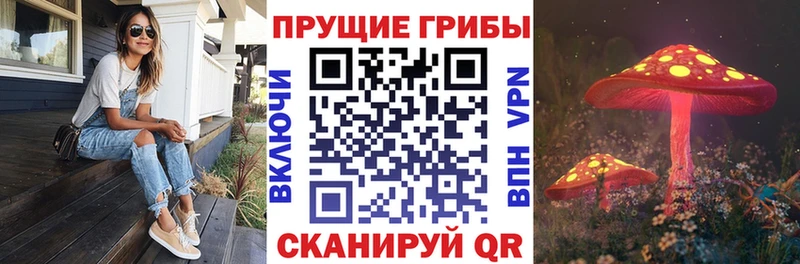 Галлюциногенные грибы GOLDEN TEACHER  Бабаево 