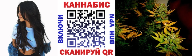 Бошки марихуана SATIVA & INDICA  где купить наркотик  Бабаево 